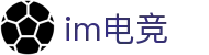 IM(股份有限公司)电竞-电子竞技平台